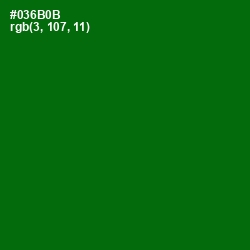 #036B0B - Japanese Laurel Color Image