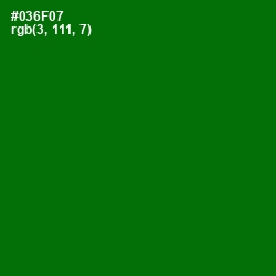 #036F07 - Japanese Laurel Color Image