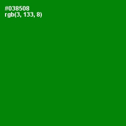 #038508 - Forest Green Color Image