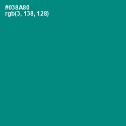 #038A80 - Teal Color Image