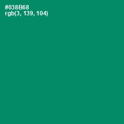 #038B68 - Observatory Color Image