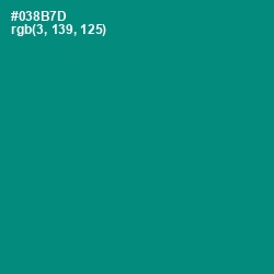 #038B7D - Elf Green Color Image