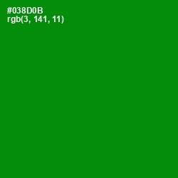 #038D0B - Forest Green Color Image