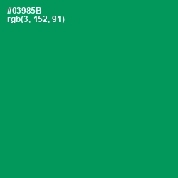 #03985B - Green Haze Color Image