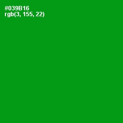 #039B16 - Forest Green Color Image