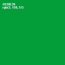 #039E39 - Forest Green Color Image