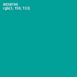 #039F99 - Gossamer Color Image