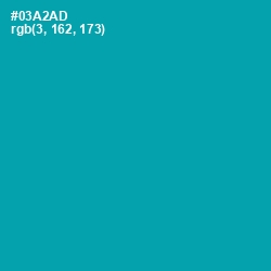 #03A2AD - Bondi Blue Color Image