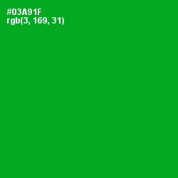 #03A91F - Forest Green Color Image