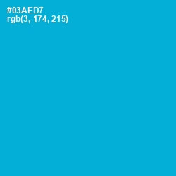 #03AED7 - Cerulean Color Image