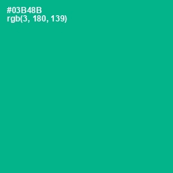#03B48B - Persian Green Color Image