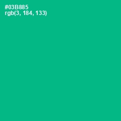 #03B885 - Persian Green Color Image