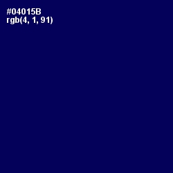 #04015B - Gulf Blue Color Image