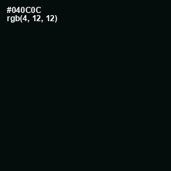 #040C0C - Cod Gray Color Image