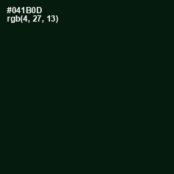 #041B0D - Gordons Green Color Image