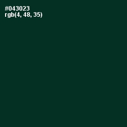 #043023 - Bottle Green Color Image