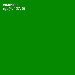 #048900 - Forest Green Color Image