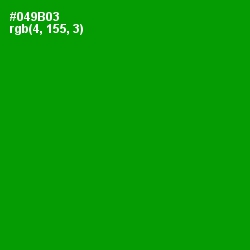 #049B03 - Forest Green Color Image