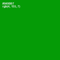 #049B07 - Forest Green Color Image