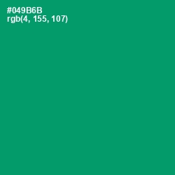 #049B6B - Observatory Color Image