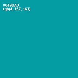 #049DA3 - Bondi Blue Color Image