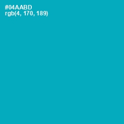 #04AABD - Bondi Blue Color Image
