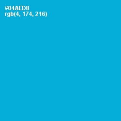#04AED8 - Cerulean Color Image