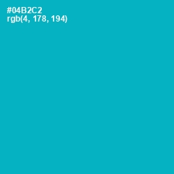 #04B2C2 - Cerulean Color Image