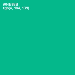 #04B88B - Persian Green Color Image