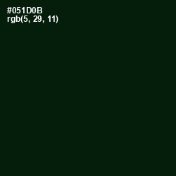 #051D0B - Black Forest Color Image