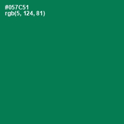 #057C51 - Tropical Rain Forest Color Image