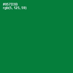 #057D3B - Fun Green Color Image
