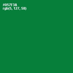 #057F3A - Fun Green Color Image