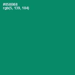 #058B68 - Observatory Color Image