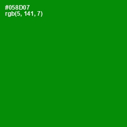 #058D07 - Forest Green Color Image