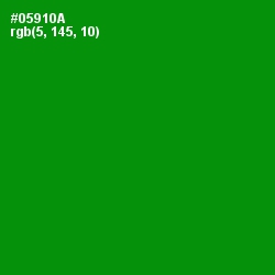 #05910A - Forest Green Color Image