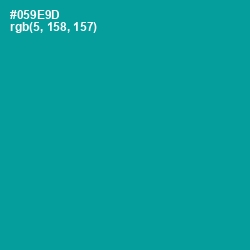 #059E9D - Blue Chill Color Image