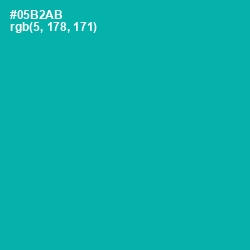 #05B2AB - Persian Green Color Image