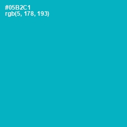 #05B2C1 - Cerulean Color Image