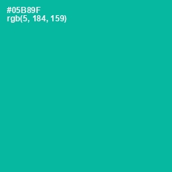 #05B89F - Persian Green Color Image