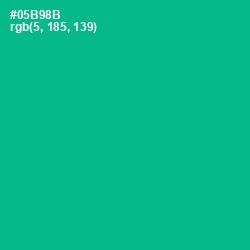 #05B98B - Persian Green Color Image