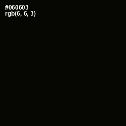 #060603 - Black Color Image