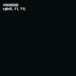 #060B0B - Cod Gray Color Image