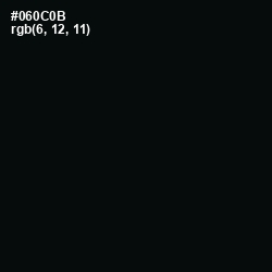 #060C0B - Cod Gray Color Image