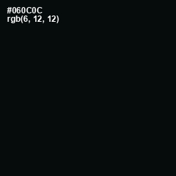 #060C0C - Cod Gray Color Image