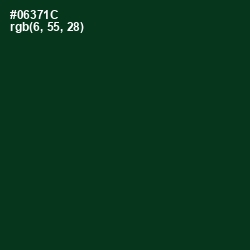 #06371C - Cardin Green Color Image