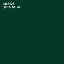 #063925 - Bottle Green Color Image