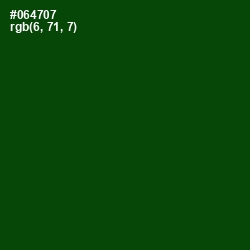 #064707 - Dark Fern Color Image