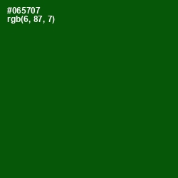 #065707 - Dark Fern Color Image