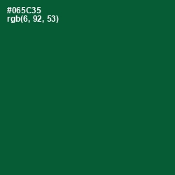 #065C35 - Sherwood Green Color Image